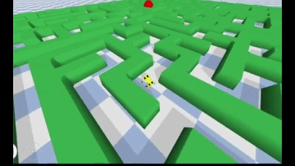 annguyen042024.gif