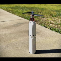 nguyen2025modeling.gif